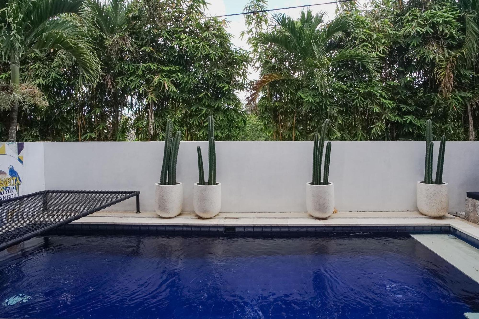 Margarita Surf Hostel Canggu Exteriör bild